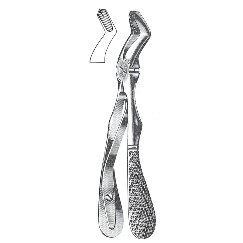 Tooth Extracting Forceps - Medical Supplies - Applemed Trading L.L.C