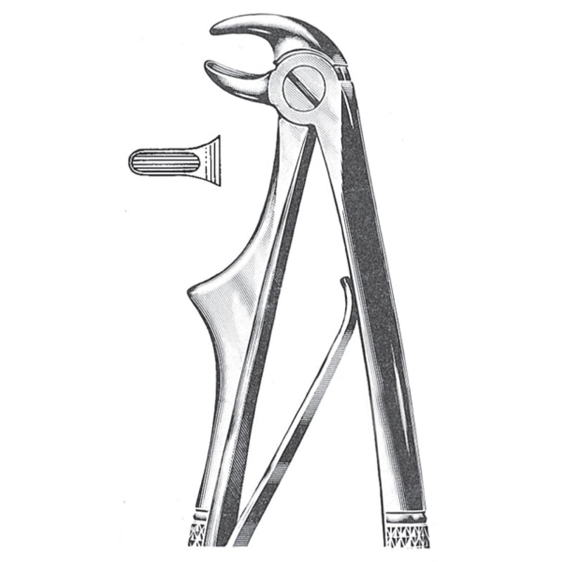 Tooth Extracting Forceps - Medical Supplies - Applemed Trading L.L.C
