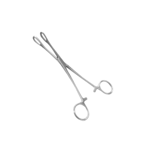 Sponge Holding Scissors