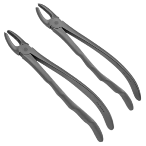 Upper Molar Forceps